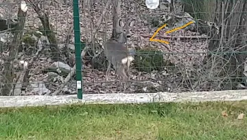 One-Bedroom Apartment in Jurdani for Up to 3