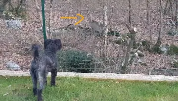 One-Bedroom Apartment in Jurdani for Up to 3