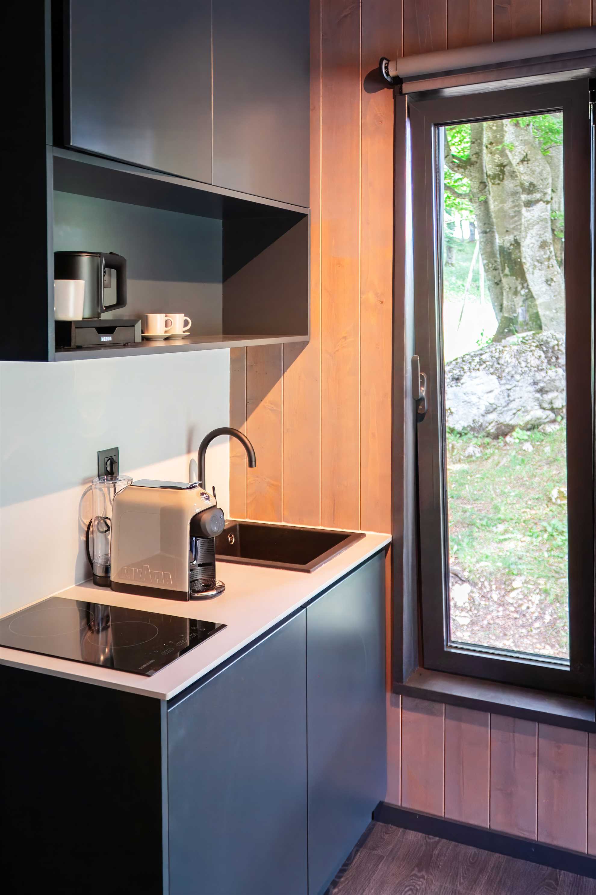 Ginger Cabins: Luxurious Forest Retreat with Durmitor Views