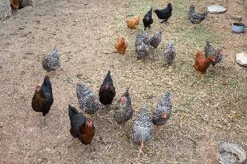 3-Bedroom Holiday House in Slivno with Private Pool