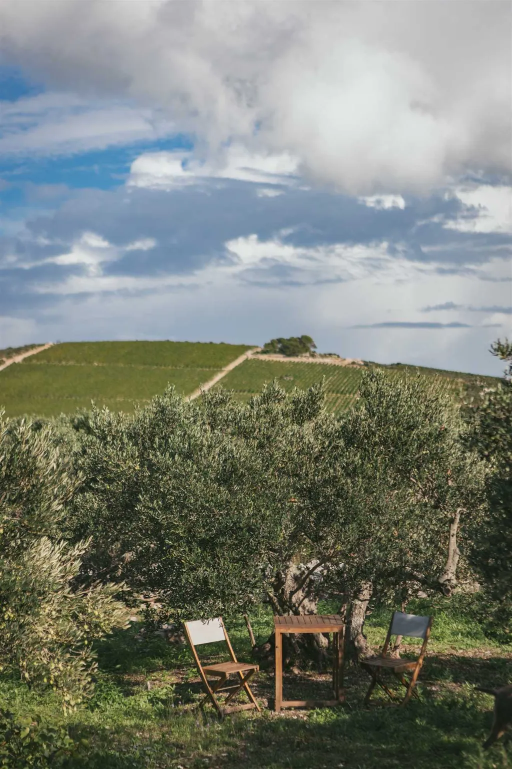 Glamping Tent with Private Hot Tub in Donje Selo