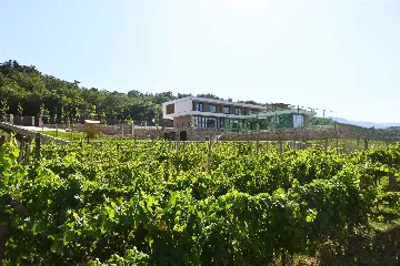 Heated Pool Villa in Grubine for Up to 20 Guests