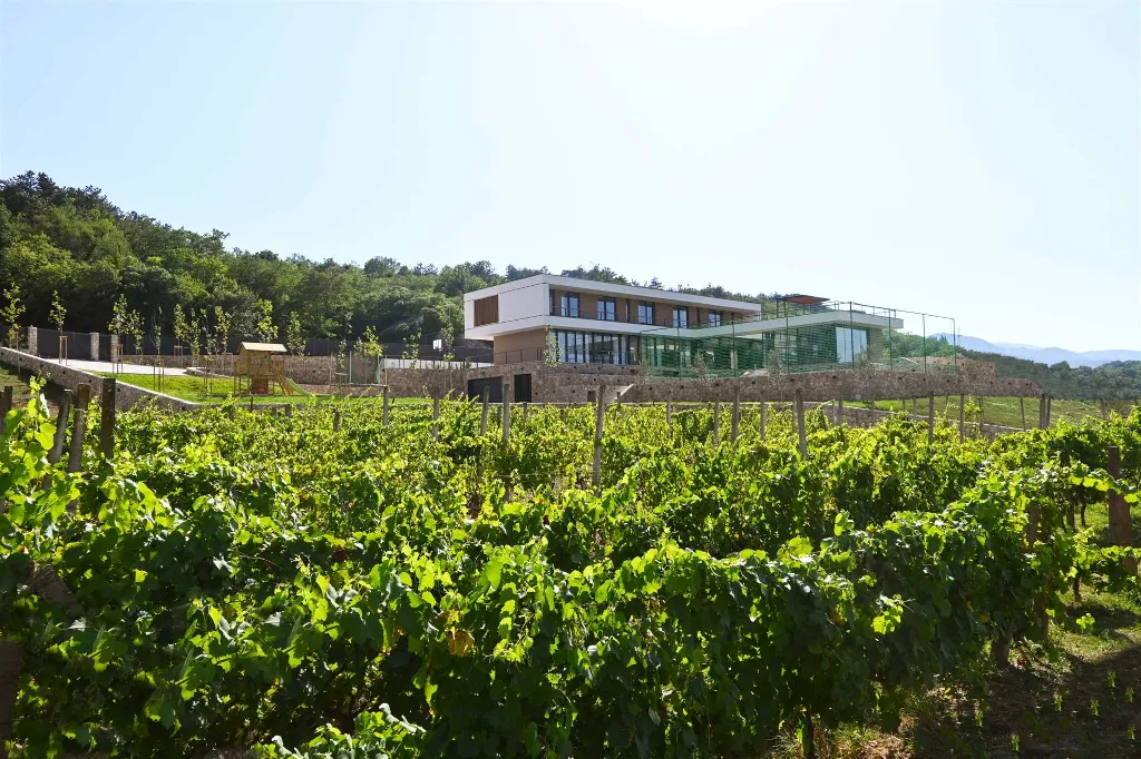 Heated Pool Villa in Grubine for Up to 20 Guests