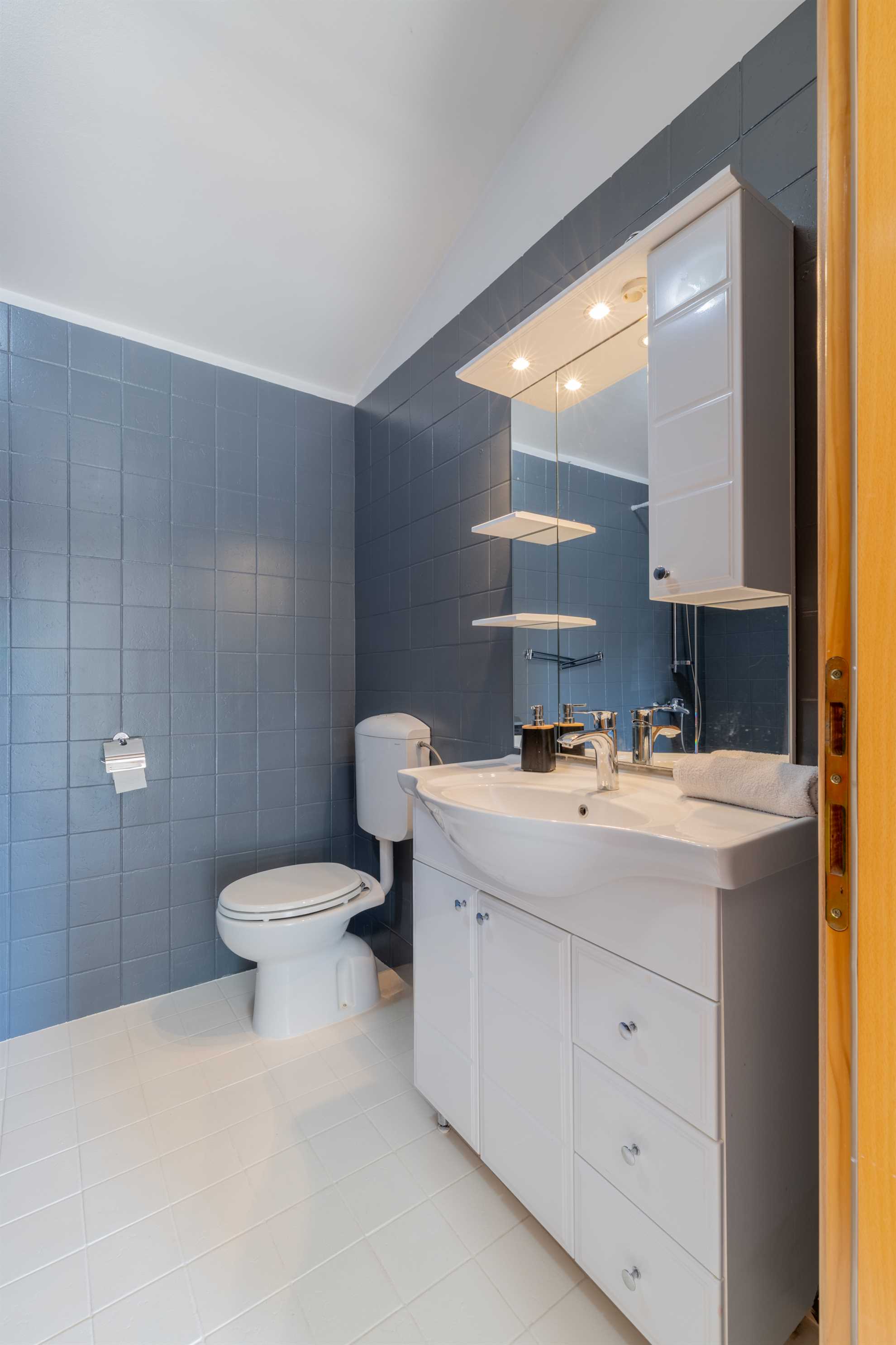 Villa Lavandis with Jacuzzi and 50m2 Pool