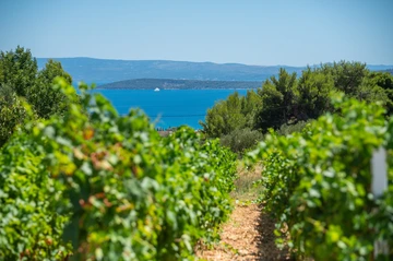 Family-Size Villa with Private Pool near Split