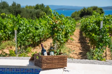 Family-Size Villa with Private Pool near Split