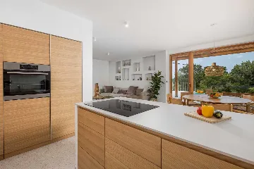 2-Bedroom Villa with Private Infinity Pool in Dobrinj