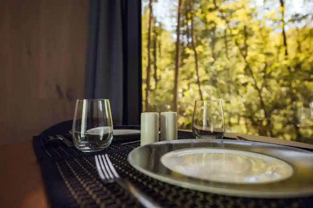 Glass House Cabin for 2 in Dubrava, Croatia