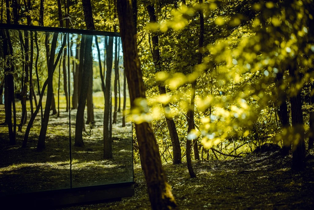 Glass House Cabin for 2 in Dubrava, Croatia