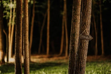 Glass House Cabin for 2 in Dubrava, Croatia