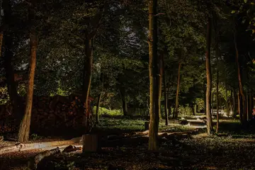 Glass House Cabin for 2 in Dubrava, Croatia