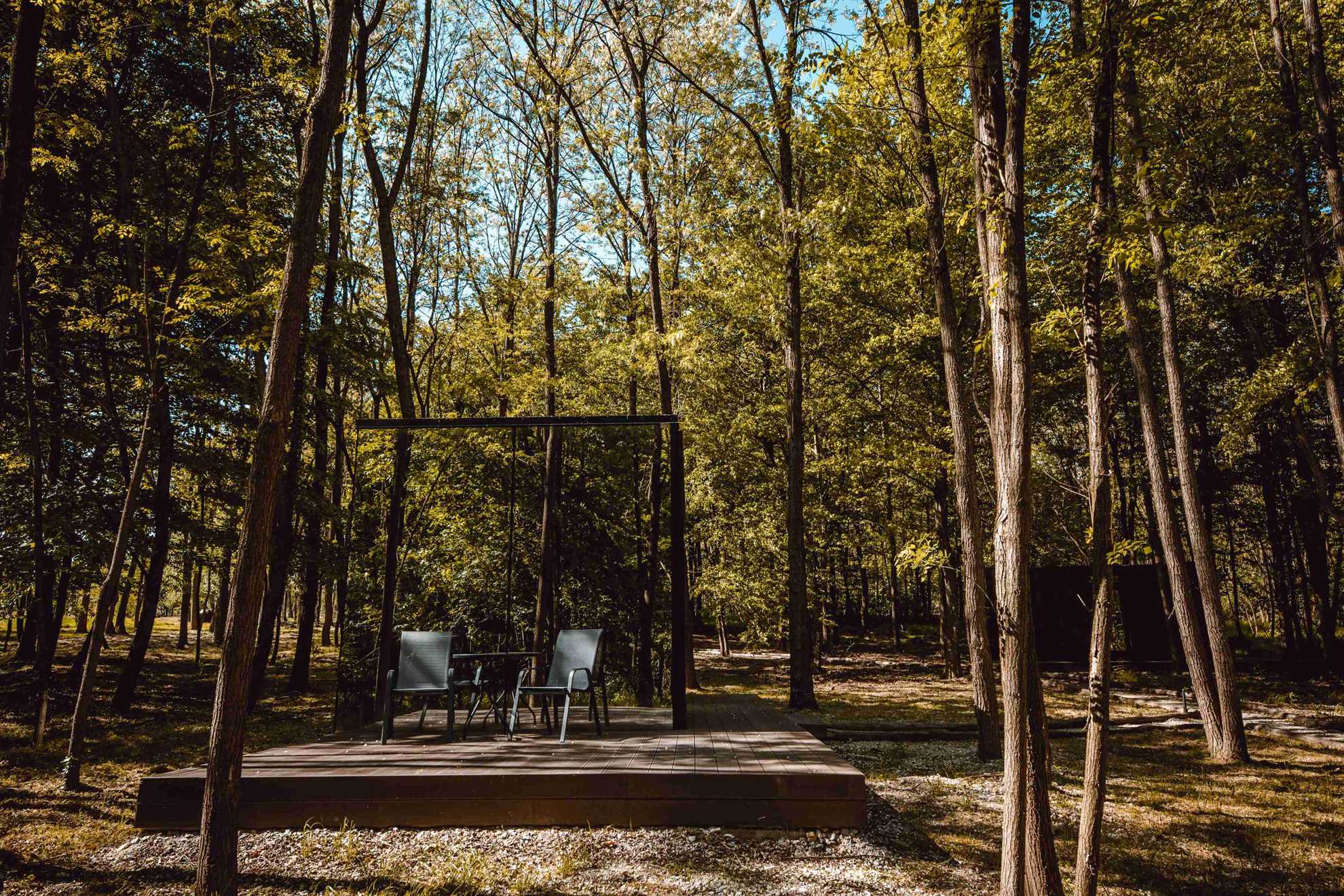 Glass house in nature - Terra