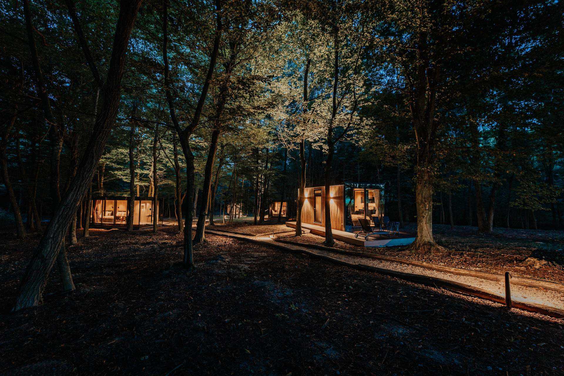 Glass house in nature - Terra