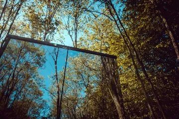 Glass House Cabin for 2 Guests in Dubrava, Croatia