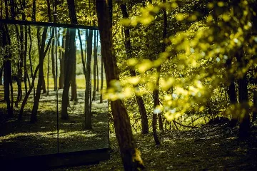 Glass House Cabin for 2 Guests in Dubrava, Croatia