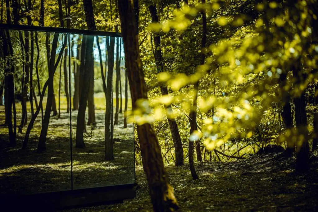 Glass House Cabin for 2 Guests in Dubrava, Croatia