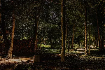 Glass House Cabin for 2 Guests in Dubrava, Croatia