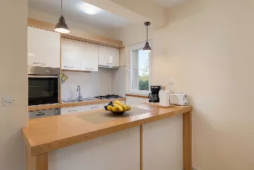 Debeljak Villa with Private Pool and Full Privacy