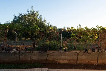 Debeljak Villa with Private Pool and Full Privacy