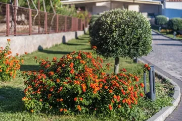 Sea-View 1-Bedroom Apartment in Sv. Filip i Jakov