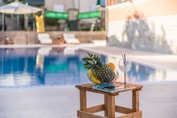 Apartment with Infinity Pool in Sv. Filip i Jakov