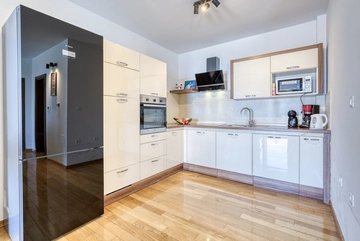 Apartment with Private Pool and Jacuzzi in Veprinac