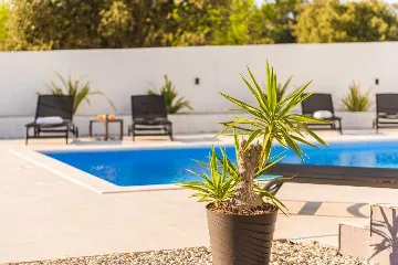 Modern Villa for 8 Guests in Vrsi, Croatia