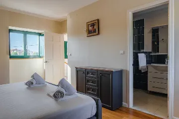 Stone House with Pool on Vir Island