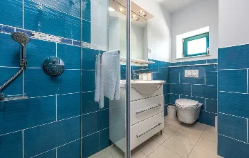 Stone House with Pool on Vir Island