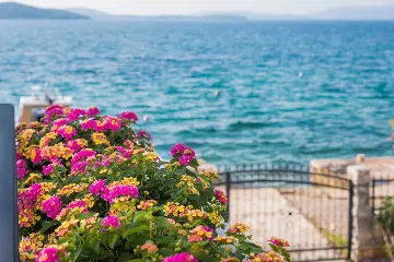 Beachfront Villa with Sea View in Žaborić