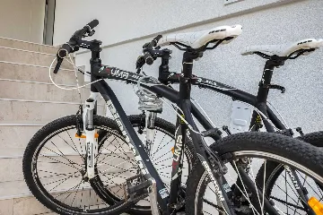 Villa in Bibinje for 12 Guests with Heated Pool