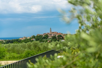 4-Bedroom Villa with Heated Pool in Višnjan