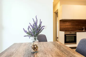 Bibinje Studio Apartment with Balcony for 2