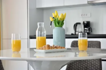 Heated Rooftop Pool Apartment for 4 Guests in Bibinje