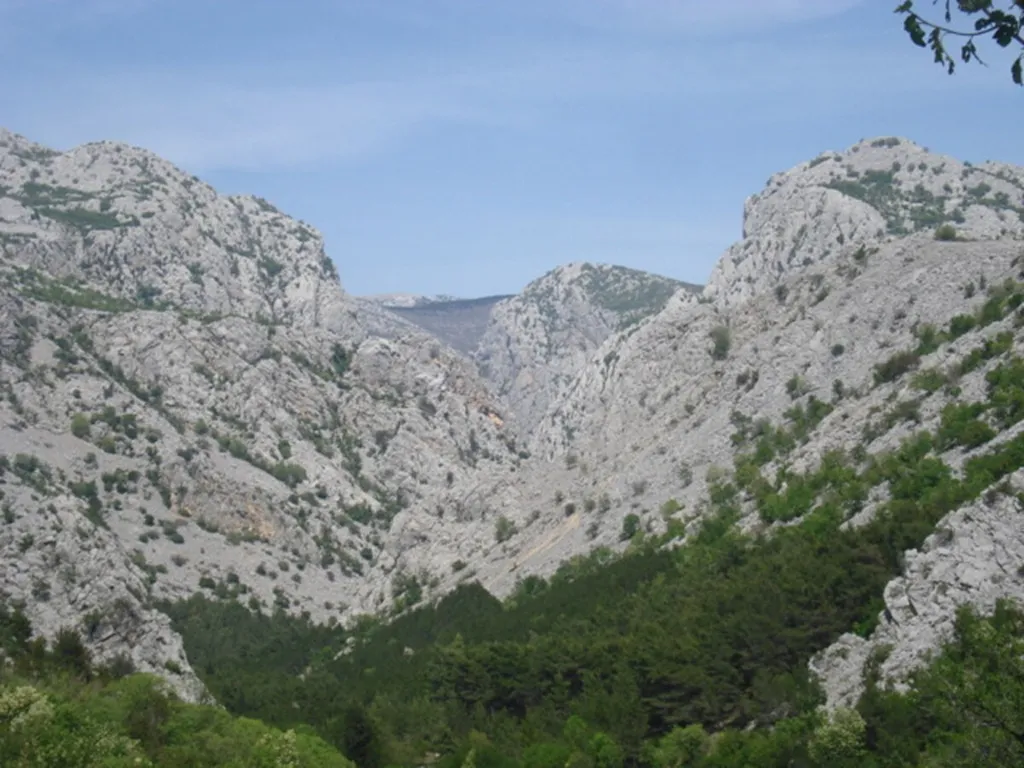 Sea-View Apartment for Families in Starigrad