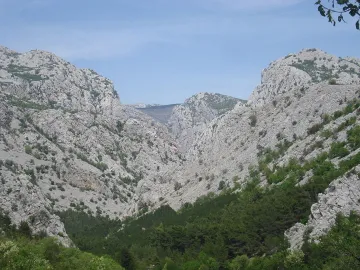 Sea-View Apartment for Families in Starigrad