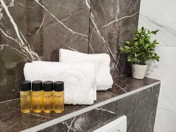 2-Bedroom Apartment with 2 Balconies in Vir