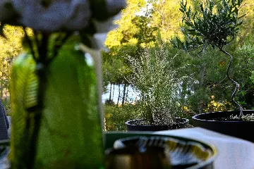 Mobile Home in Drage for Up to 5 Guests