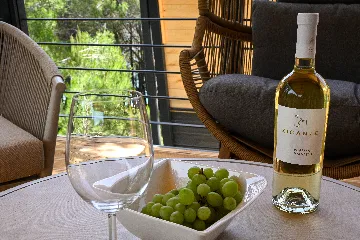 2-Bedroom Mobile Home in Drage, Croatia