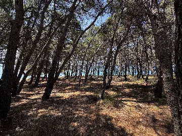 Mobile Home in Drage for up to 5 Guests