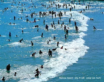 Split 1-Bedroom Apartment for 2 near Sandy Beach