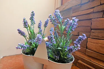 1-Bedroom Apartment in Vis for 2 Guests