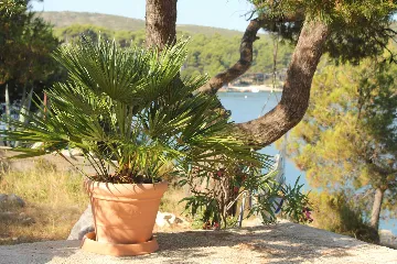 Hvar Apartment with Balcony for up to 4 Guests