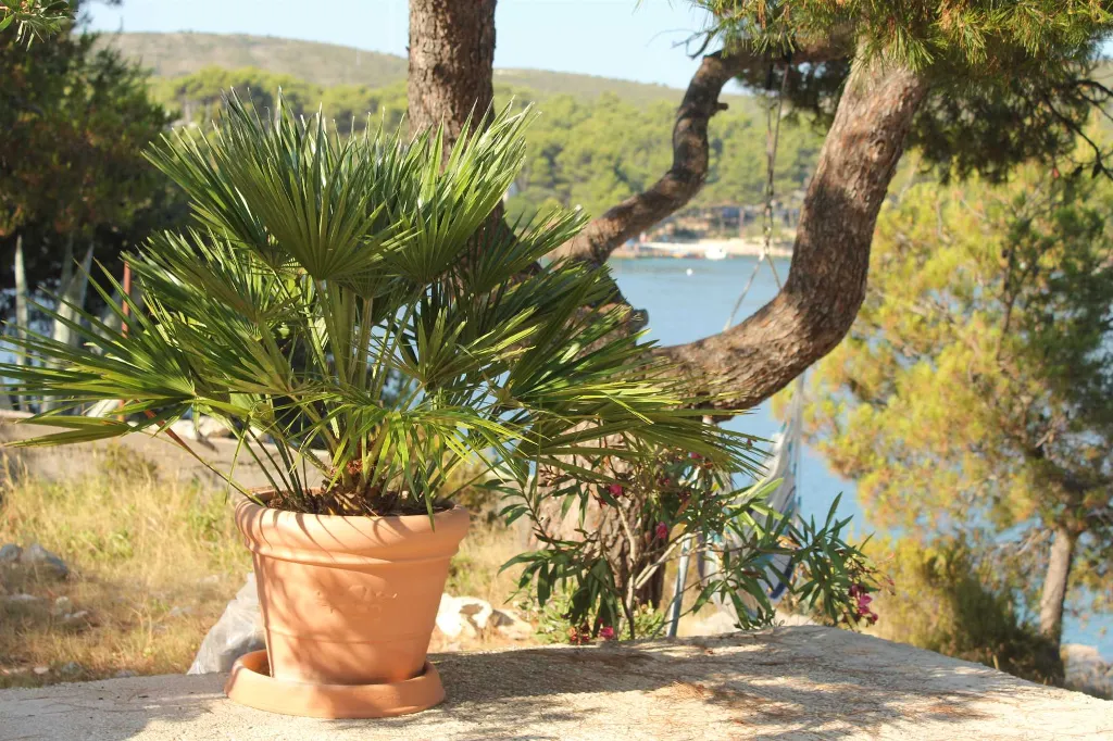 Sea View Apartment in Hvar for 3 Guests