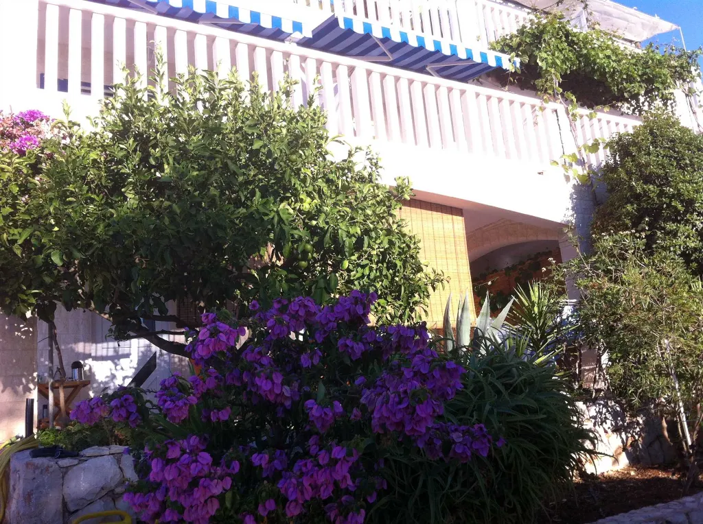 Apartment by the Sea in Hvar for 3 Guests