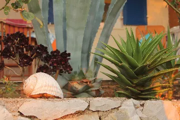 Apartment by the Sea in Hvar for 3 Guests