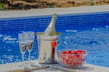 Villa with Swimming Pool in Vir, Croatia