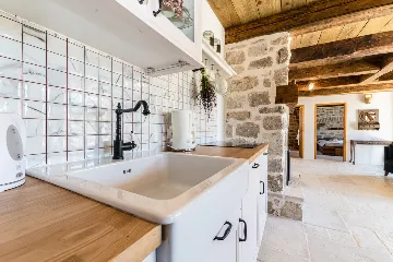 Villa with Swimming Pool in Vir, Croatia