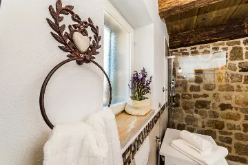 Villa with Swimming Pool in Vir, Croatia