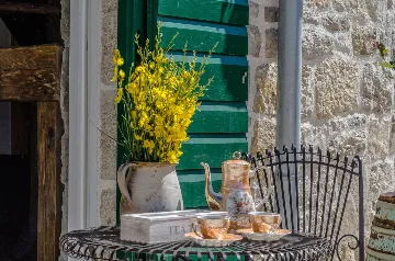 Villa with Swimming Pool in Vir, Croatia